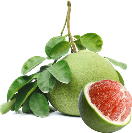 Bưởi Tân Triều